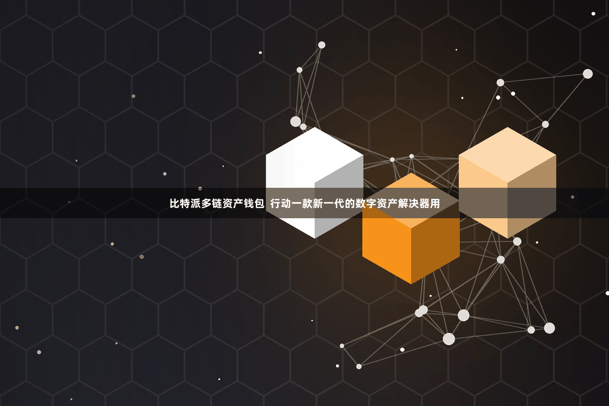 比特派多链资产钱包  行动一款新一代的数字资产解决器用